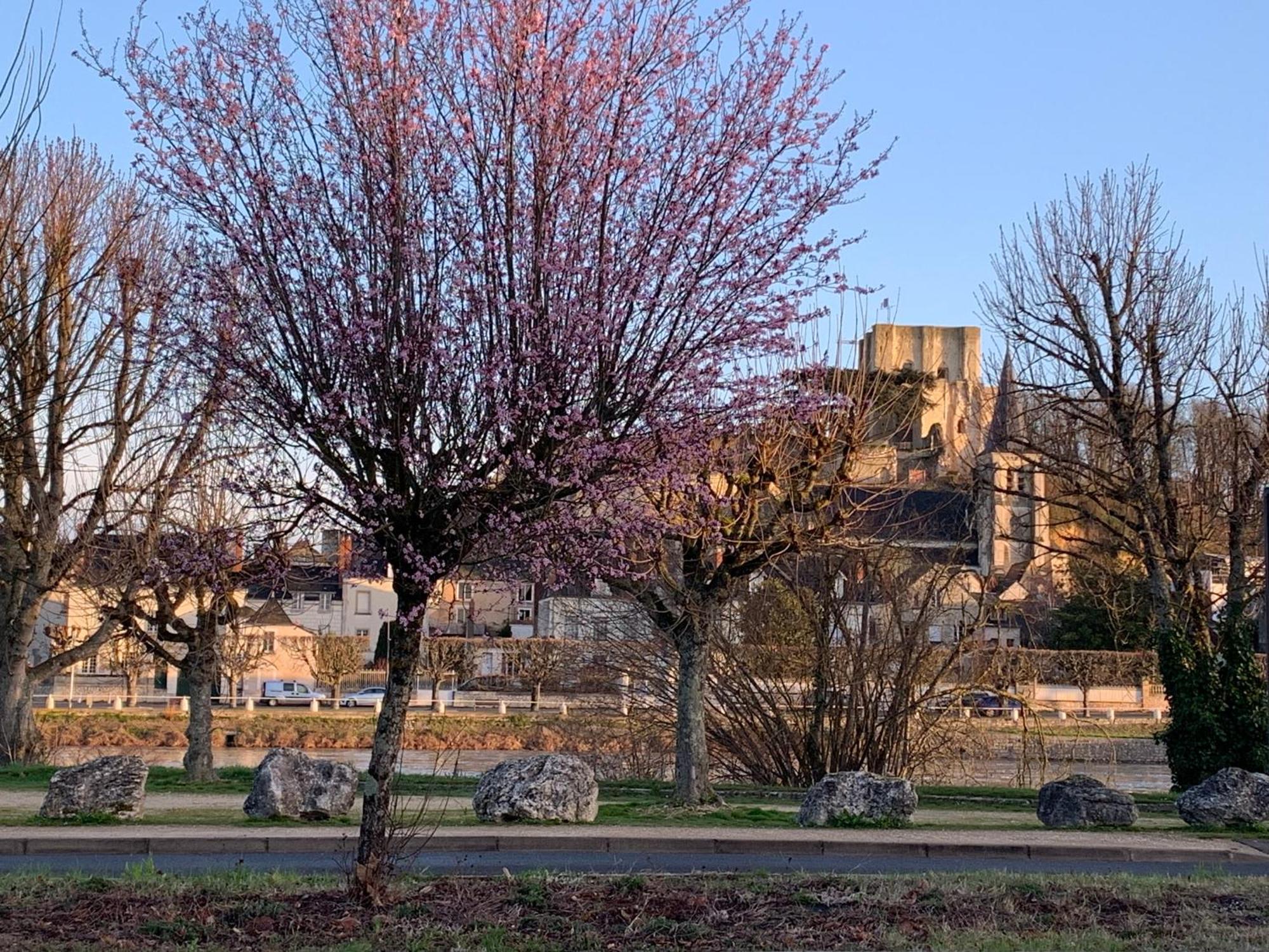 BourréLes Mesanges住宿加早餐旅馆 外观 照片